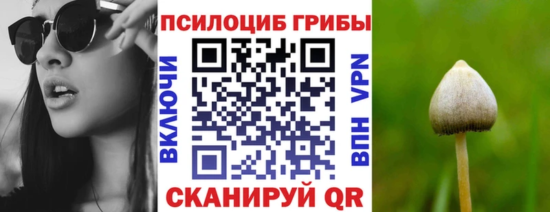 как найти наркотики  ссылка на мегу вход  Галлюциногенные грибы Cubensis  Куса 
